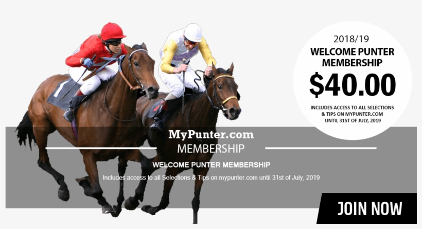 Horse Racing, transparent png #7781977