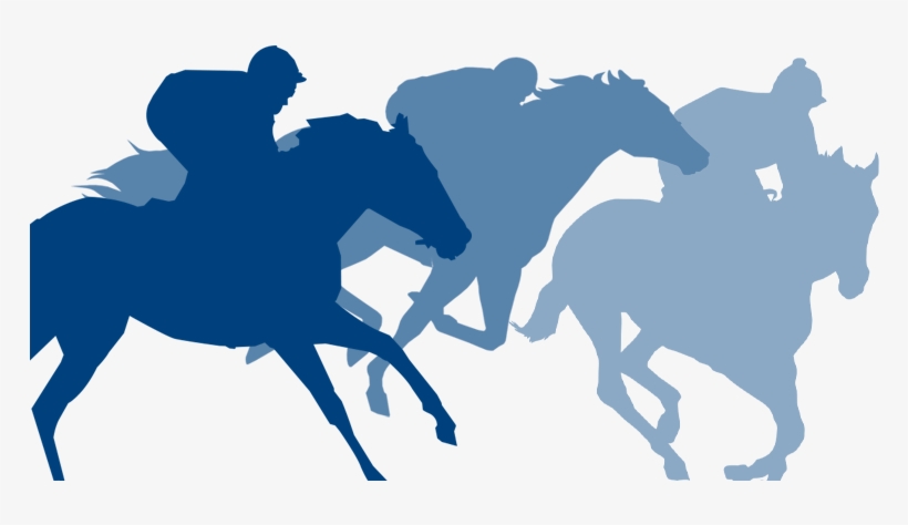 Sport And Racing - Stallion, transparent png #7782141