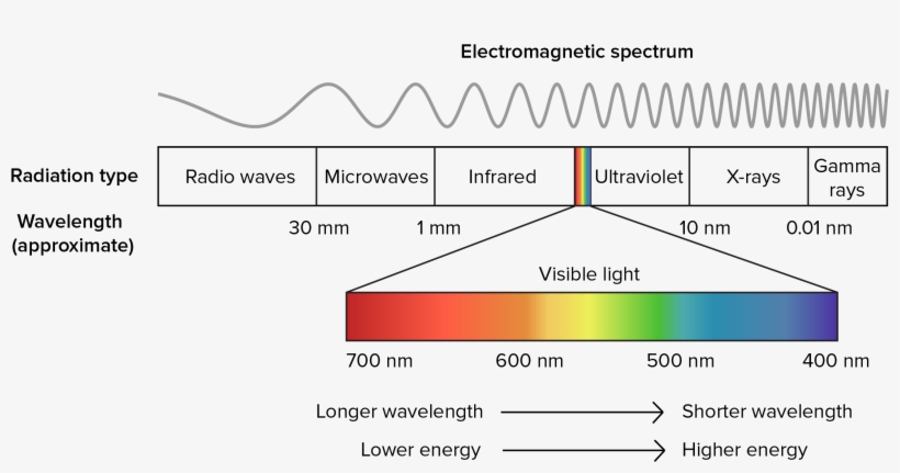 Electromagnetic Spectrum And Visible Light - Mcat Light Spectrum, transparent png #7782174