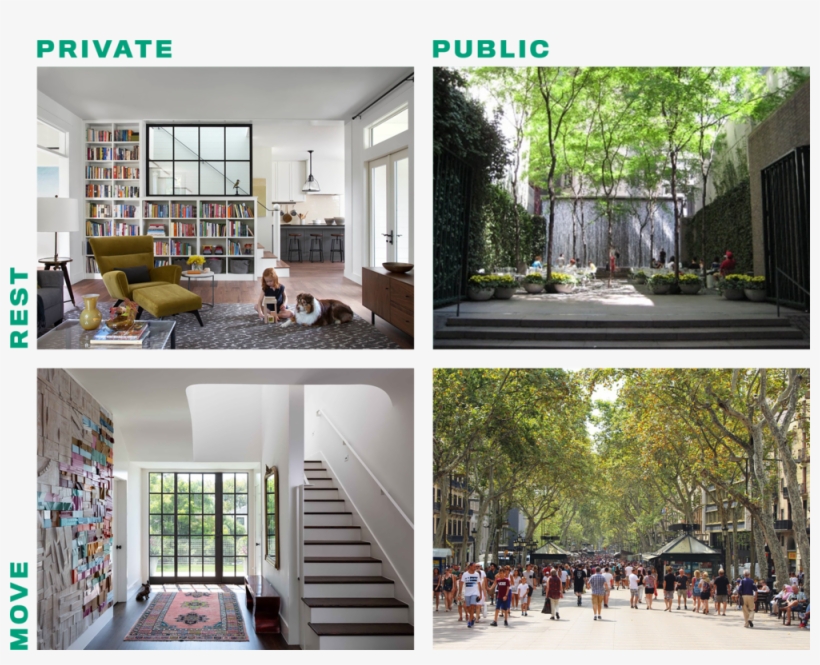 Private And Public Places For Rest And Movement Designed - Commercial Building, transparent png #7782239