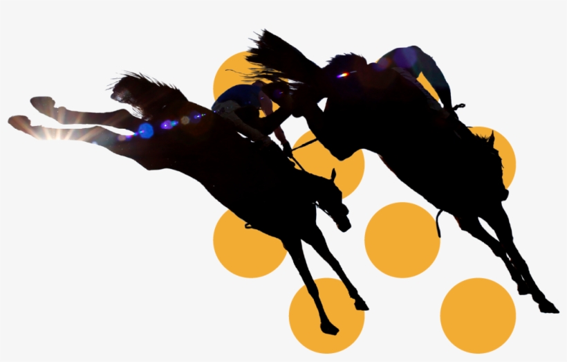 In The Paddock - Illustration, transparent png #7782342