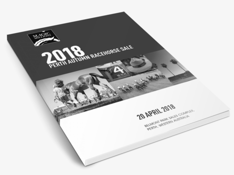 Pdf Catalogue - Flyer, transparent png #7782406