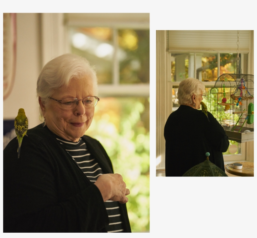 2 Sandy-collage, transparent png #7782448