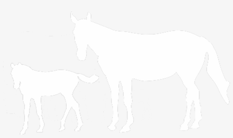 International Races - Mane, transparent png #7782502