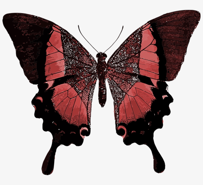 Red Butterfly Colorful Pretty - Your Time As A Caterpillar Has Expired Your Wings Are, transparent png #7783107