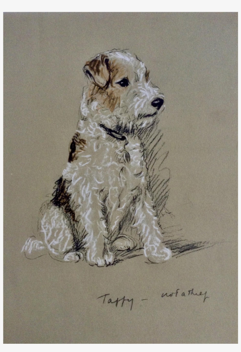 1930's-1940's Lucy Dawson, Wire Haired Terrier Named - Terrier, transparent png #7783540