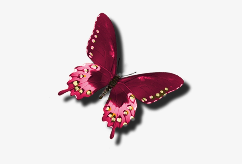 Butterfly Clip Art, Red Butterfly, Beautiful Butterflies, - Butterfly Burgundy Png, transparent png #7783784