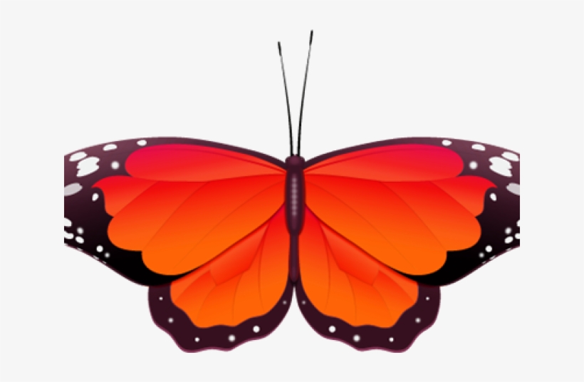 Monarch Butterfly Clipart Red - Red And Orange Butterfly, transparent png #7783927