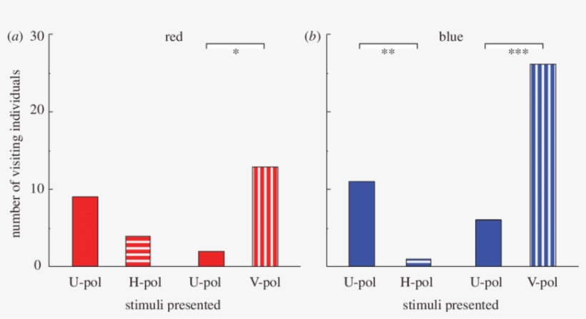 Innate Preference Of Naive Butterflies Tested With - Diagram, transparent png #7784011