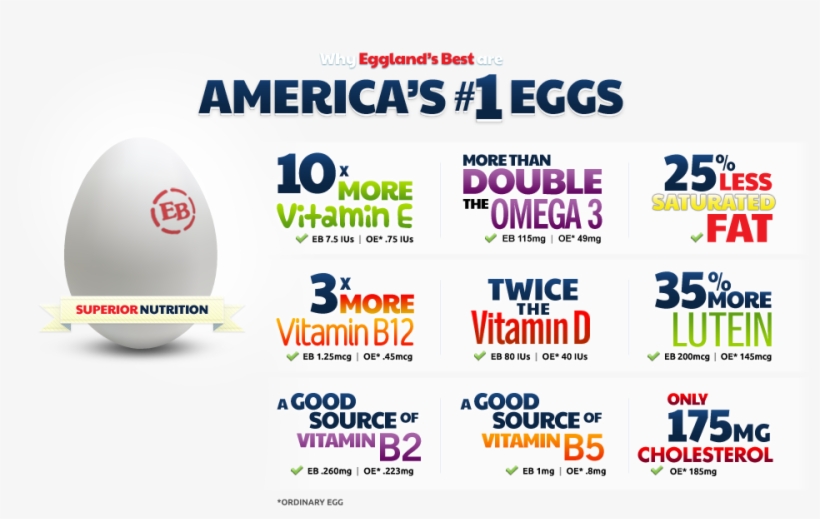 Eggland Banner - Oval, transparent png #7784199