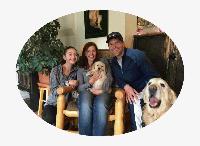 Sound Golden Retrievers" - Golden Retriever, transparent png #7786089