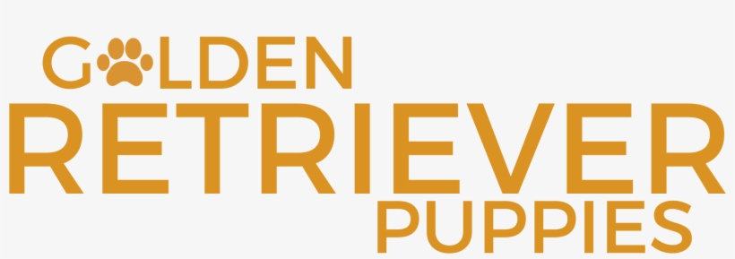 Orange, transparent png #7786294