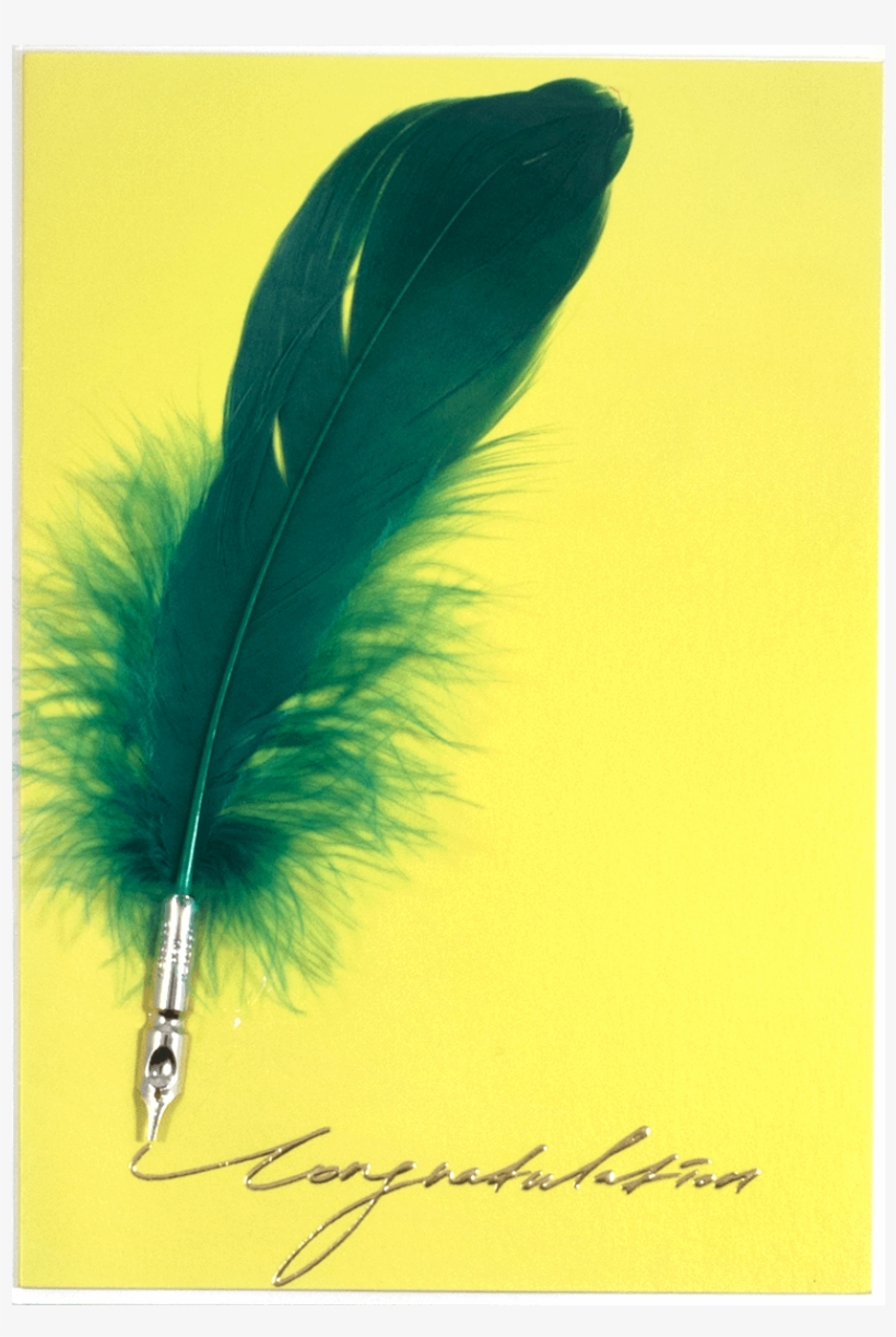 Feather Pen Congratulation - Calligraphy, transparent png #7786998
