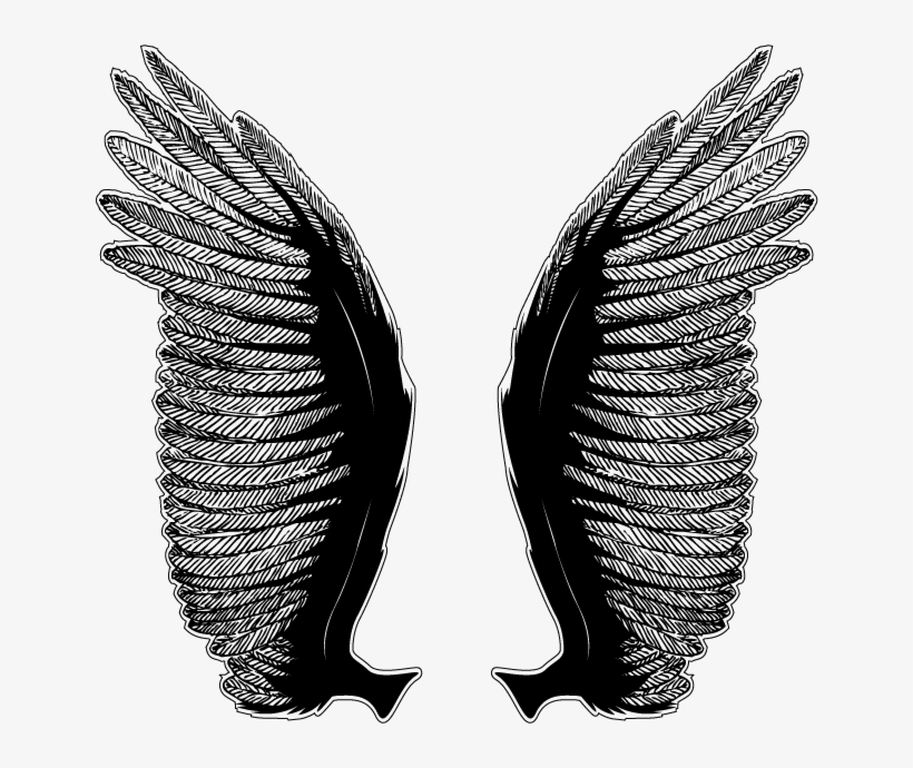 × - Eagle, transparent png #7790889