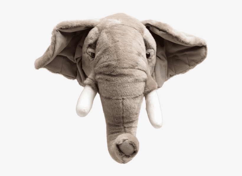 Cabeça De Elefante Pelucia, transparent png #7790999