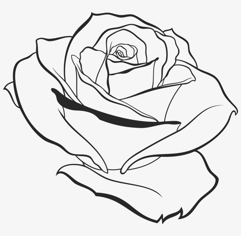 Download 800 X 722 2 Outline Of Roses Png Image With No Background Pngkey Com