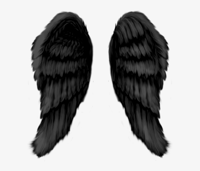 Angel Wings, transparent png #7791623