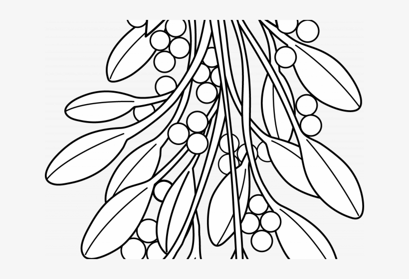 Christmas Coloring Pages Black And White With Mistletoe - Mistletoe Line Art, transparent png #7791891