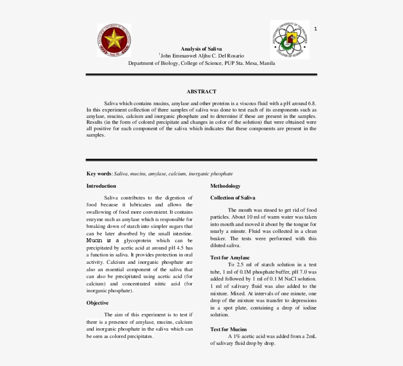 Docx - Pup College Of Science, transparent png #7792233