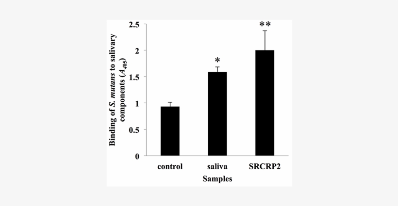 Adherence Of S - Graphic Design, transparent png #7792330