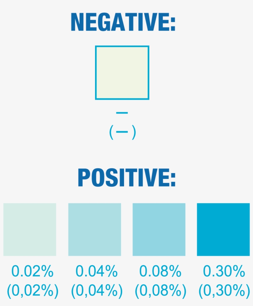 Because The Proportion Of Alcohol In Saliva Is Directly - Megane N4, transparent png #7792487