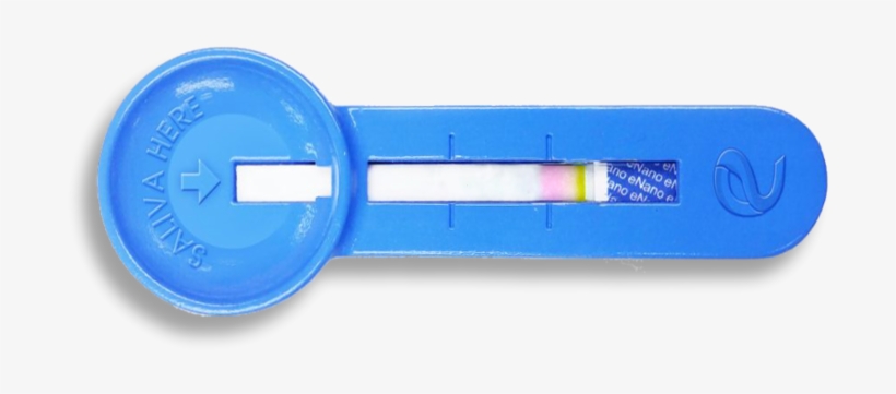 Kiss And Tell Saliva Glucose Testing, transparent png #7793334