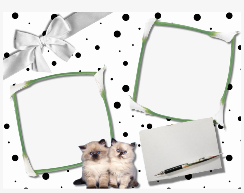 Groundhog, transparent png #7794846