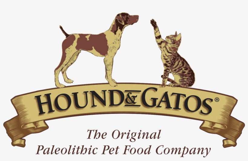 German Shorthaired Pointer, transparent png #7794910