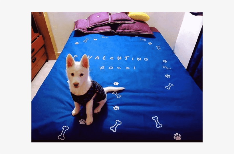 Forro Protector Para Camas - Working Dog, transparent png #7795575