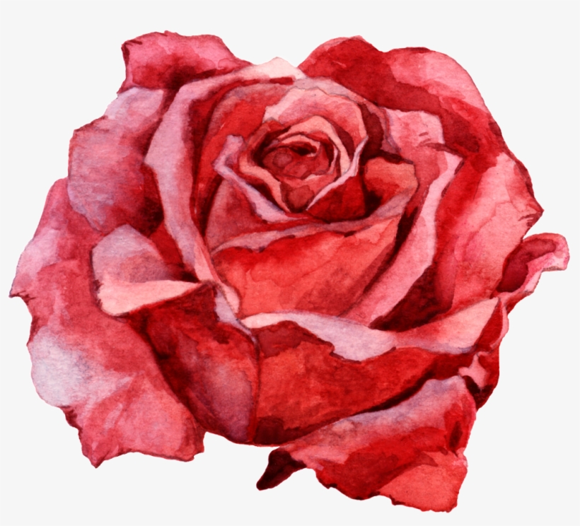 Hand Painted A Delicate Rose Png Transparent - Portable Network Graphics, transparent png #7796040