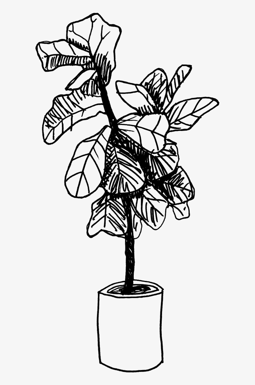 Orchid, transparent png #7796188