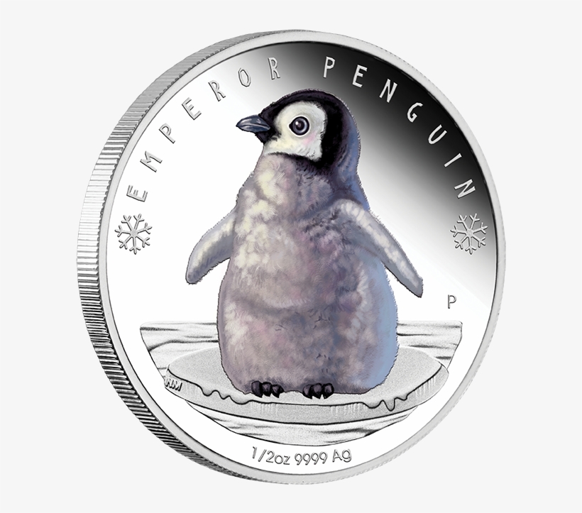 2017 1/2oz Polar Babies Silver Proof Coin - Emperor Penguin Coin Uk, transparent png #7797118
