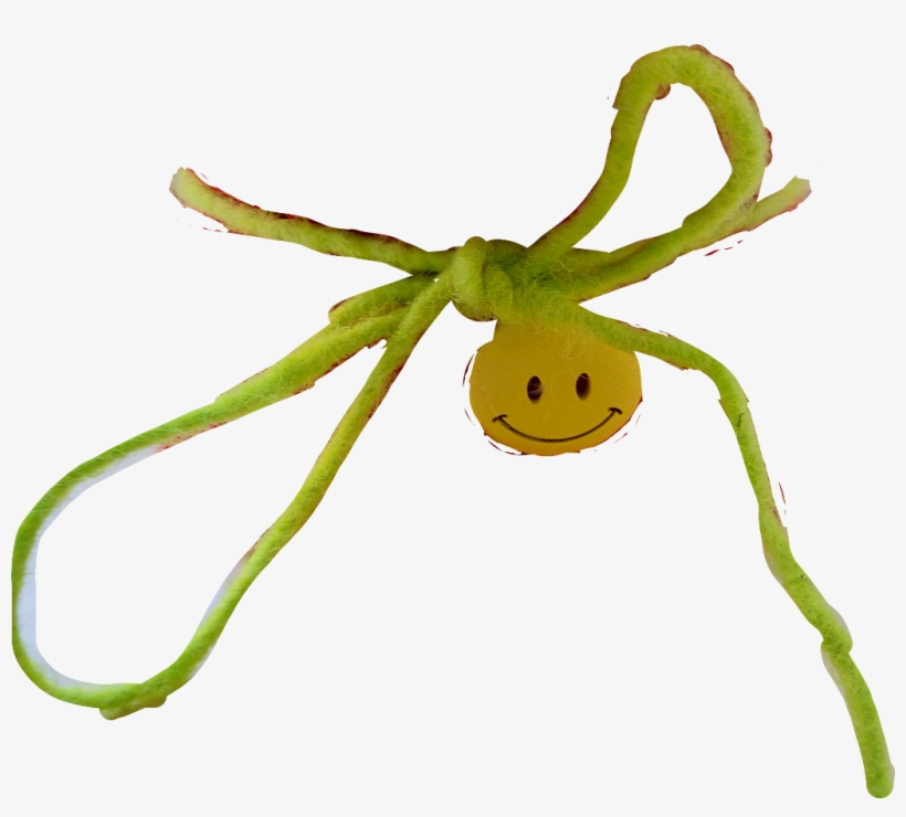 Dont Smile Be Happy Smiley Hang Hanging String Laugh - Smiley, transparent png #7797500