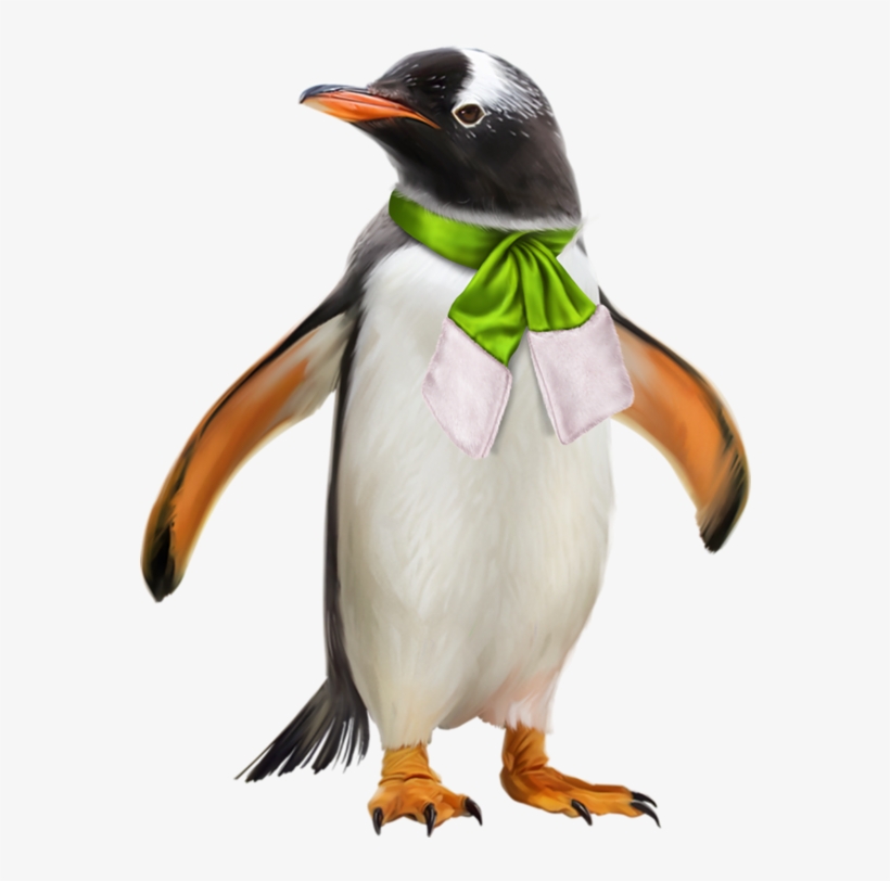 Banner Transparent Image Result For Penquin And Polar - Gentoo Penguin, transparent png #7797685