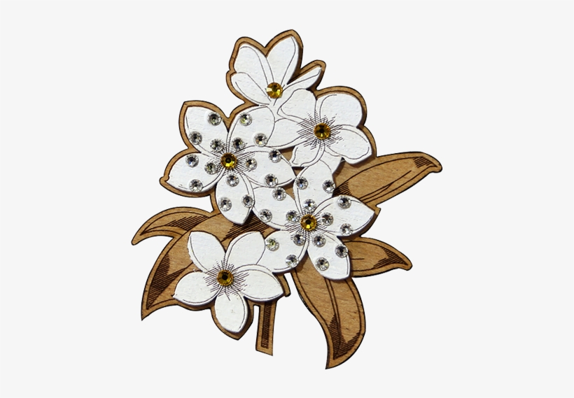 Fashion Accessories - Brooches - Frangipani - Jasmine, transparent png #7797734