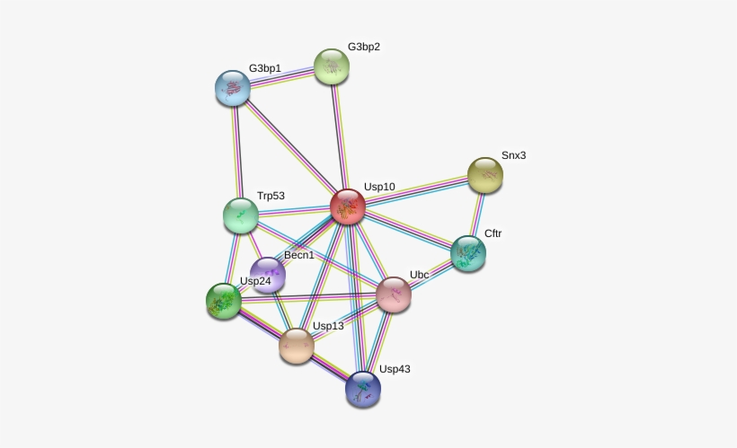 Circle, transparent png #7798411