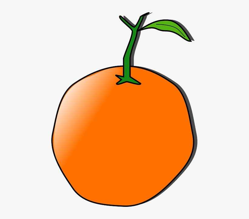 Food, Fruit, Outline, Pena, Cartoon, Orange, Cartoons - Orange Clip Art, transparent png #780066