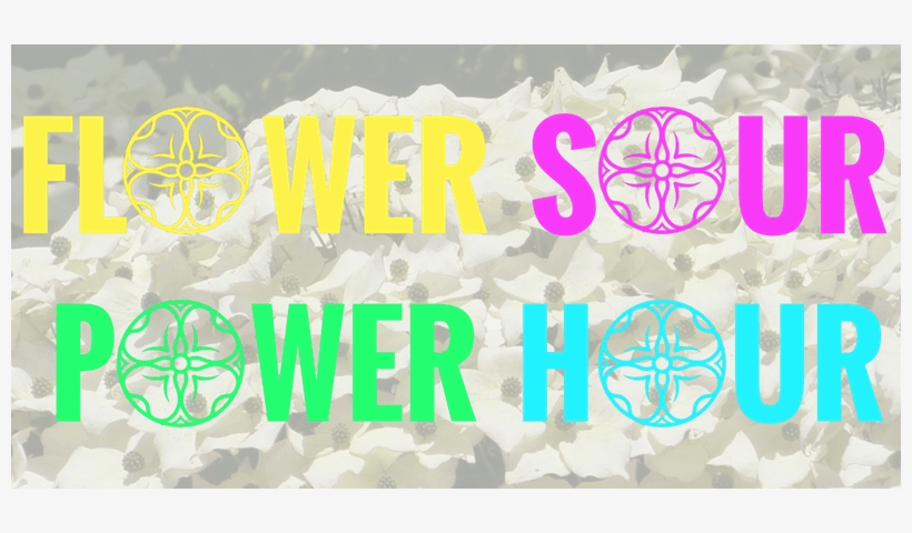 Flower Sour Power Hour - Cluster Of Blooming Dogwood, For The Love Your Thoughts,, transparent png #780369