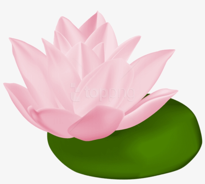 Vector Stock Lily Pad Flower Clipart - Lily Pad Flower Clipart, transparent png #780697