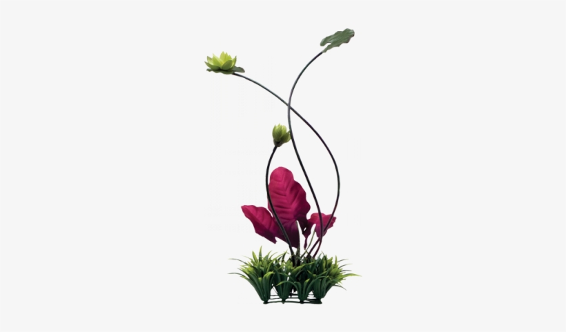 Nature-inspired Fluval Chi Lily Pad And Plant Grass - Fluval Chi Lily Pad And Plant Grass Ornament, transparent png #781011