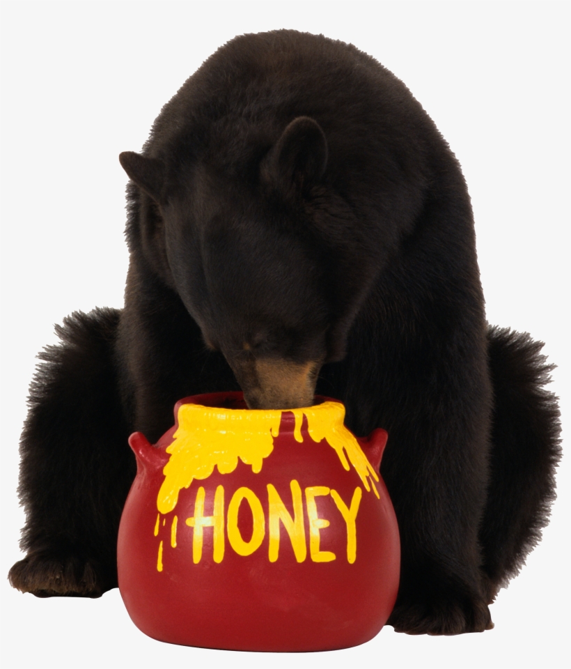 Bear Png Image Without Background, transparent png #782187