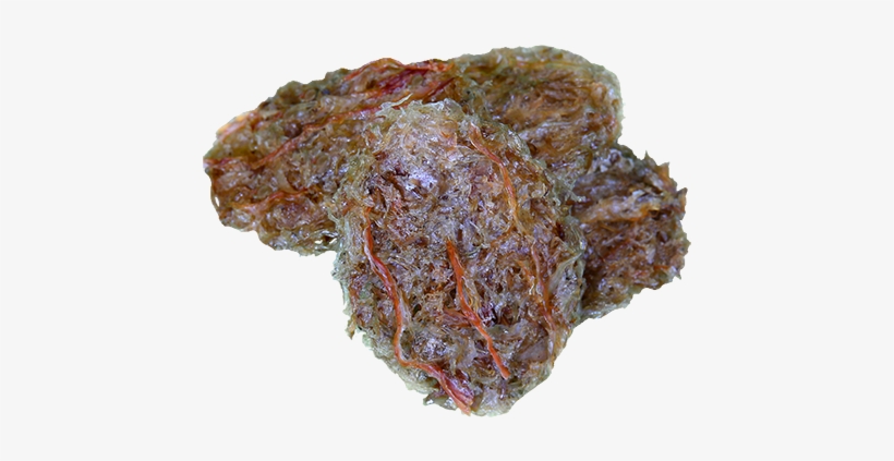 Birds Nest - Venison, transparent png #782188