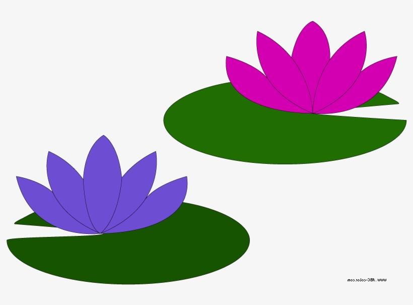 Go Back Gallery For Lily Pad Flower Clipart - Lilly Pad Clip Art, transparent png #782269
