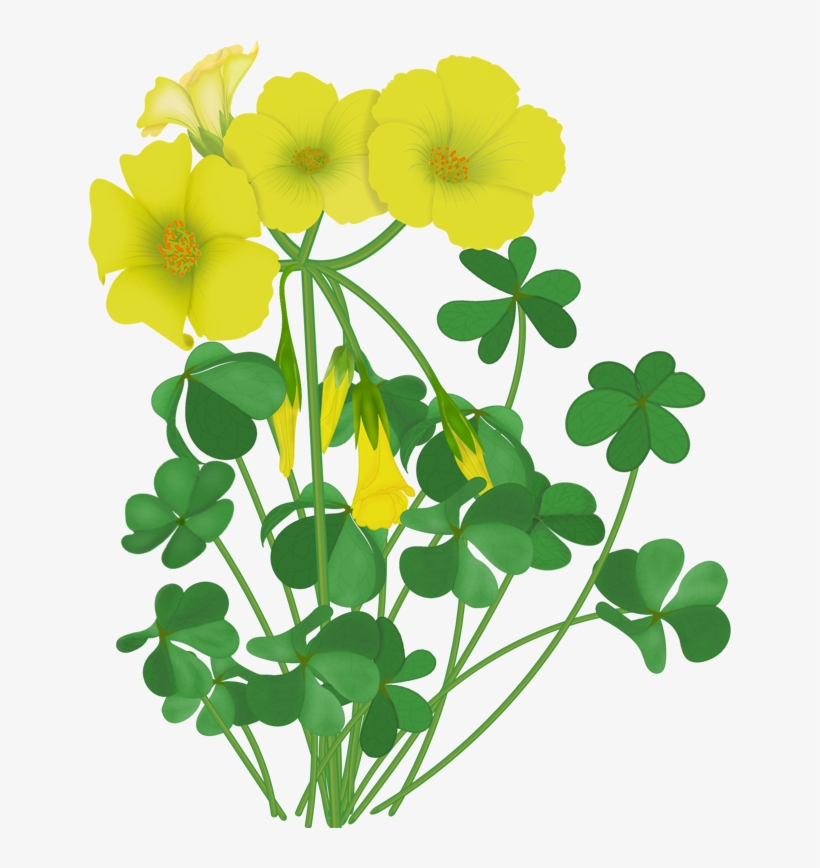 Lily Pad Clipart Single - Flower, transparent png #782289