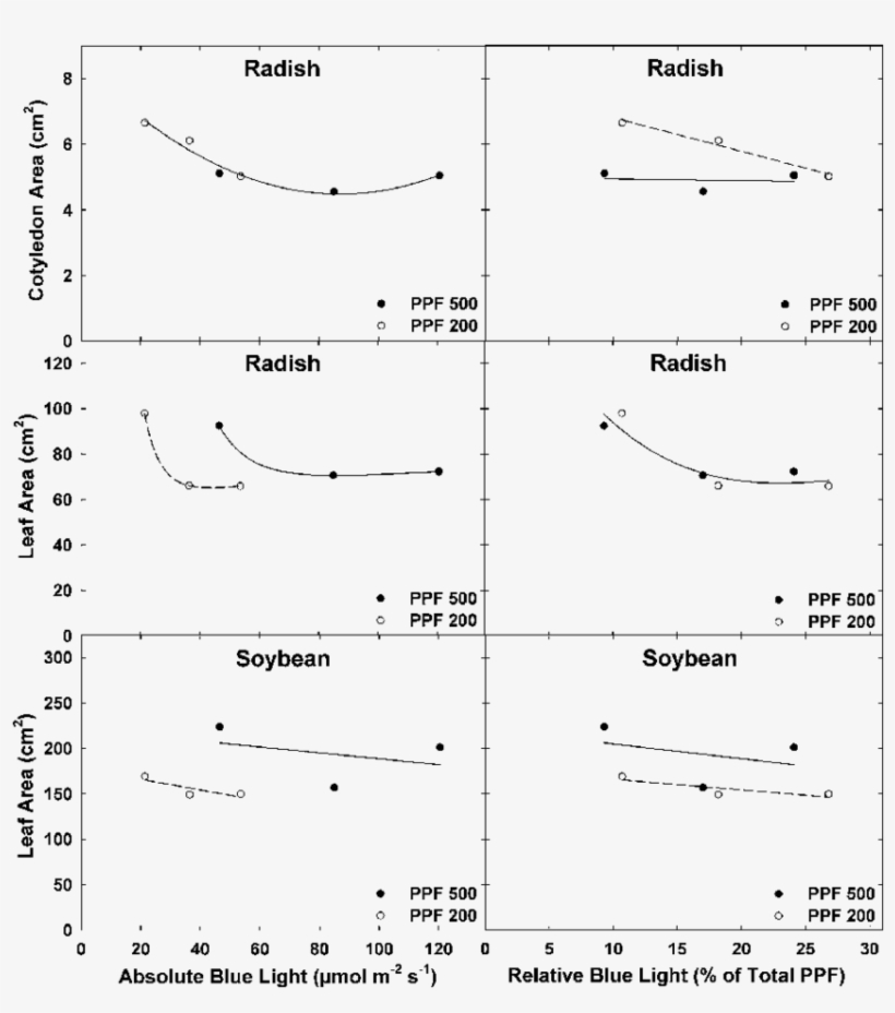 Effect Of Absolute And Relative Blue Light On Cotyledon - Diagram, transparent png #782595