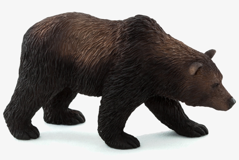 Mojo Grizzly Bear, transparent png #782743