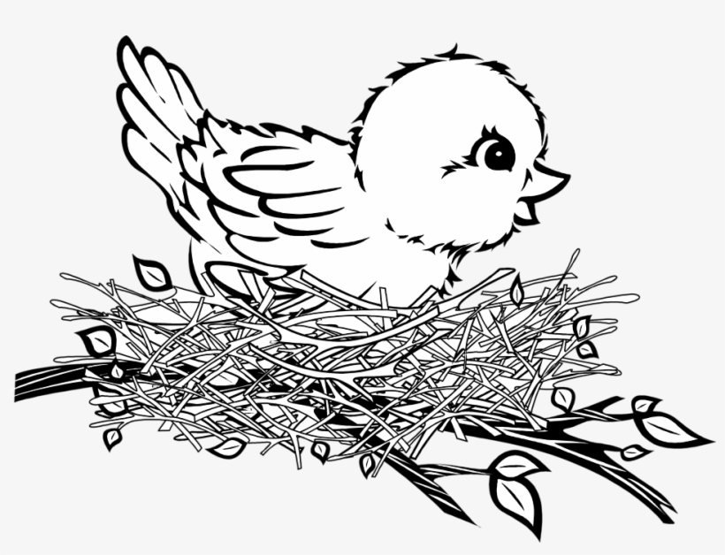 Picture Transparent Collection Of High Quality - Bird In Nest Clip Art, transparent png #782842