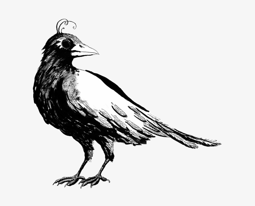 Birdnest - Rook, transparent png #783146
