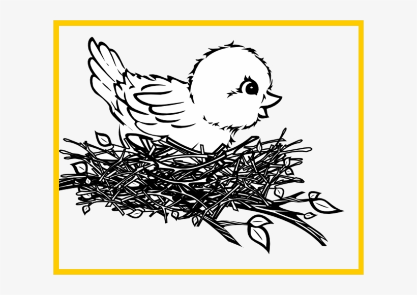 Bird Nest - Bird In Nest Clip Art, transparent png #783258