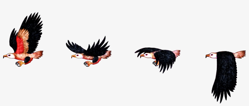 Hd Img, Flight Of The Eagle - Flight, transparent png #784080